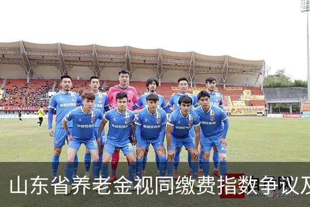 山东省养老金视同缴费指数争议及案例分析