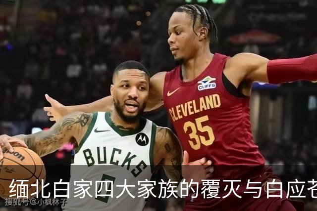 缅北白家四大家族的覆灭与白应苍的最终命运揭示