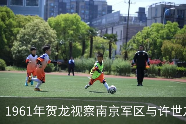 1961年贺龙视察南京军区与许世友的那场激烈对话